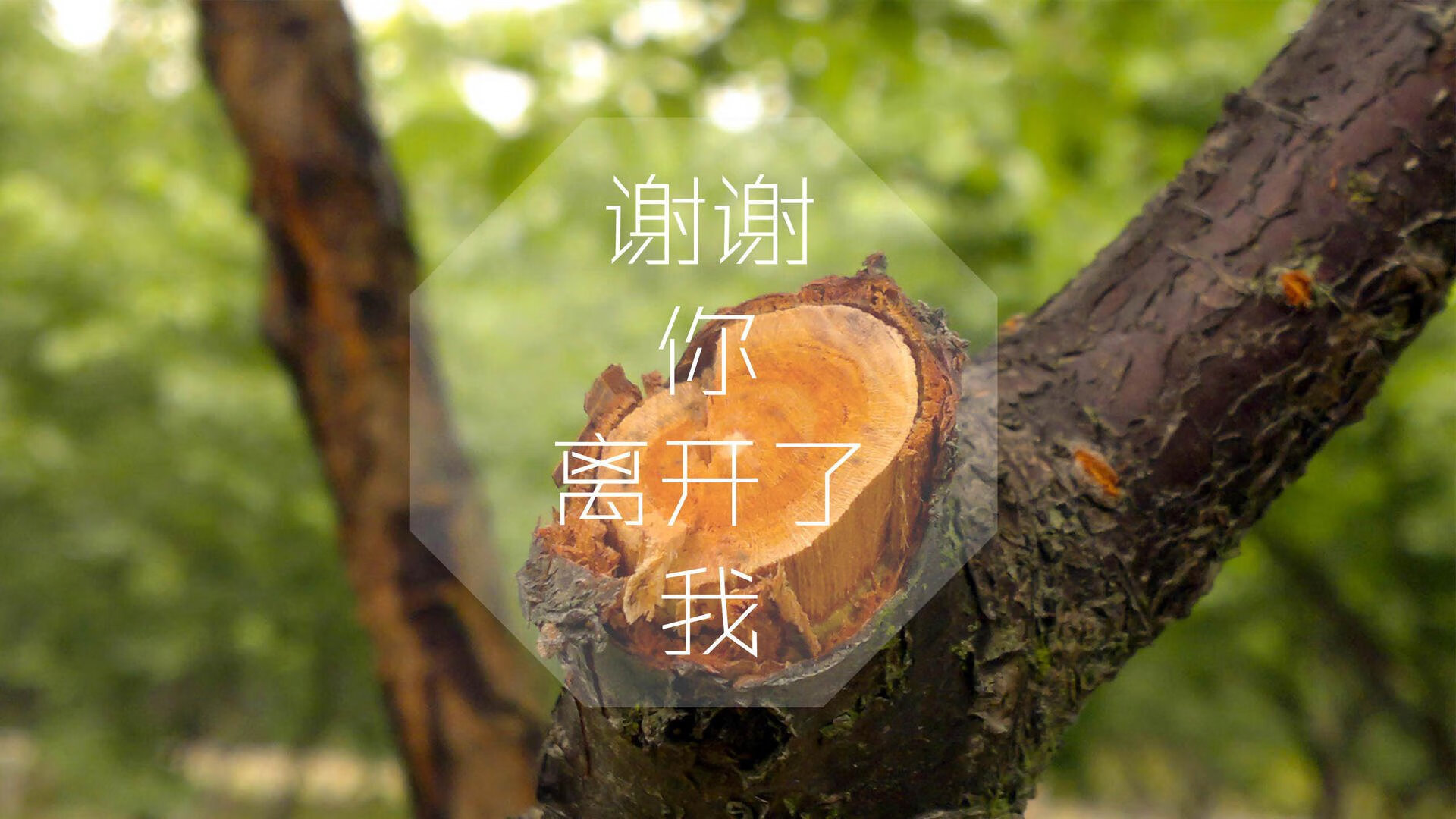 无人机商照(无人机照片)